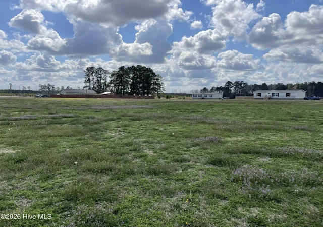 23rd image of Lot A Malpass Corner Rd, Burgaw, NC 28425 | MLS# 100565801