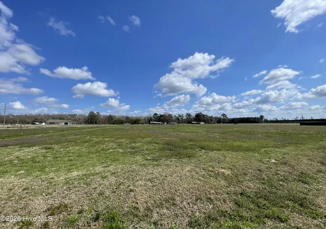 3rd image of Lot A Malpass Corner Rd, Burgaw, NC 28425 | MLS# 100565801