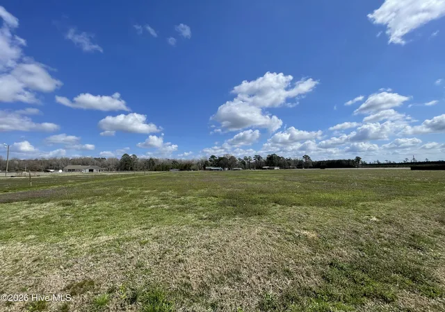 4th image of Lot A Malpass Corner Rd, Burgaw, NC 28425 | MLS# 100565801
