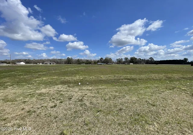 5th image of Lot A Malpass Corner Rd, Burgaw, NC 28425 | MLS# 100565801