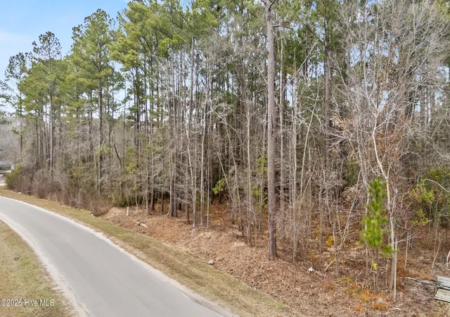 Homes for sale in Burgaw, NC | Lot 4 Copperhead Ln, Burgaw, NC 28425 | MLS# 100551011