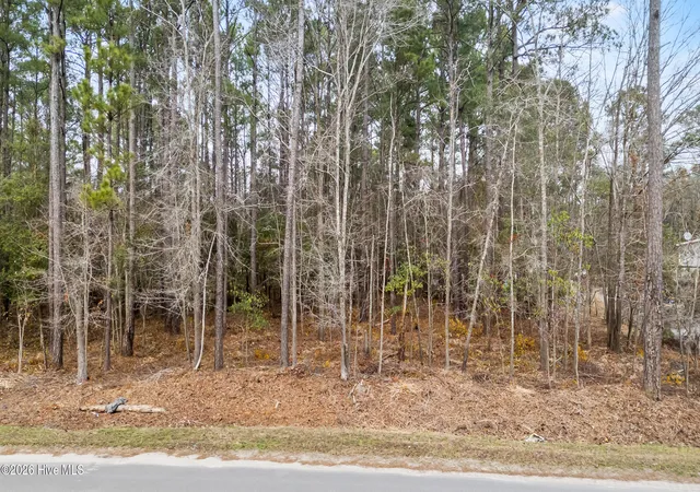 Homes for sale in Burgaw, NC | Lot 4 Copperhead Ln, Burgaw, NC 28425 | MLS# 100551011