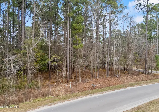 Homes for sale in Burgaw, NC | Lot 4 Copperhead Ln, Burgaw, NC 28425 | MLS# 100551011