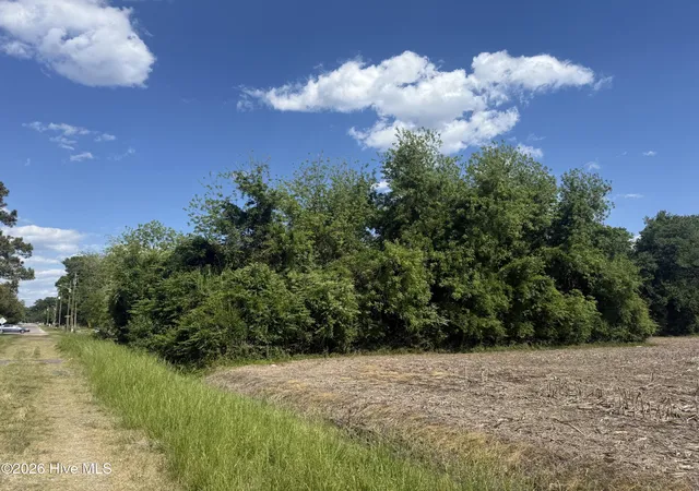 1st image of 4 W Hayes St, Burgaw, NC 28425 | MLS# 100572900