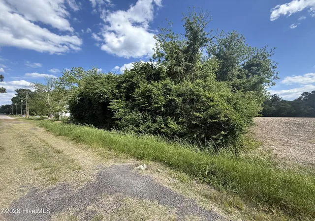 2nd image of 4 W Hayes St, Burgaw, NC 28425 | MLS# 100572900