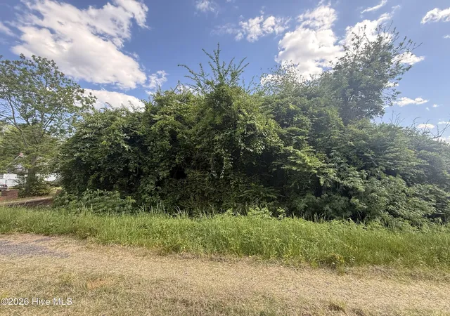 3rd image of 4 W Hayes St, Burgaw, NC 28425 | MLS# 100572900