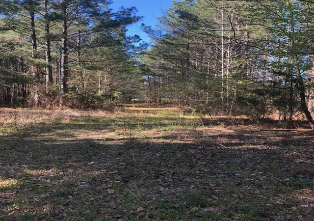 17th image of 417 Acres Starr Hinson Rd, Thomson, GA 30824 | MLS# 98255816