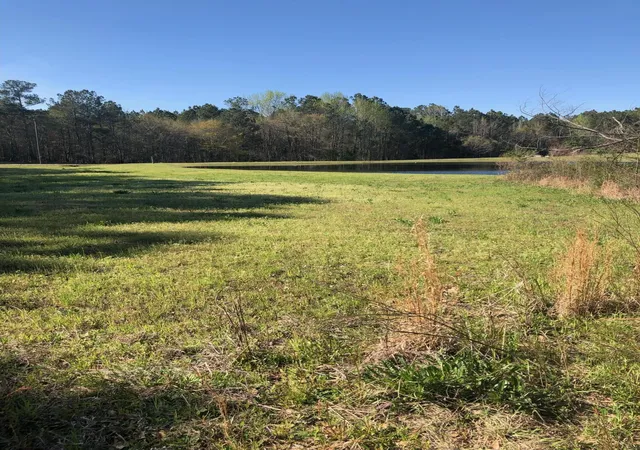 3rd image of 417 Acres Starr Hinson Rd, Thomson, GA 30824 | MLS# 98255816