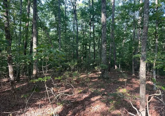 Photo 2 of Land for sale at Lot 208 Boulder Crk Rd, Murphy, NC 28906 | MLS# 100589359 | Listing updated on 2026-07-21