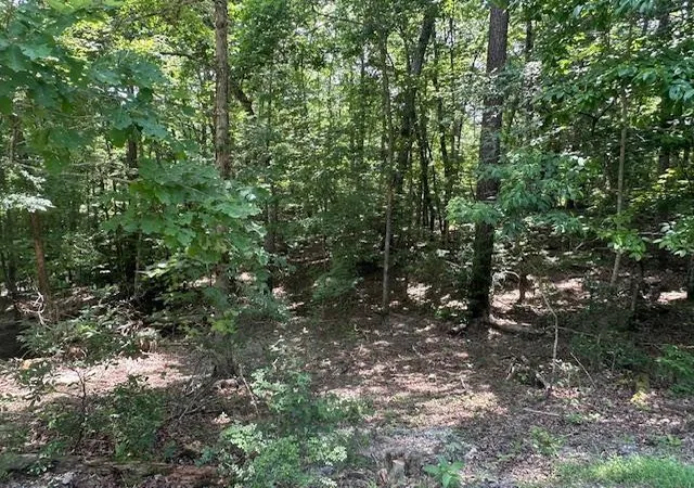 Photo 3 of Land for sale at Lot 208 Boulder Crk Rd, Murphy, NC 28906 | MLS# 100589359 | Listing updated on 2026-07-21