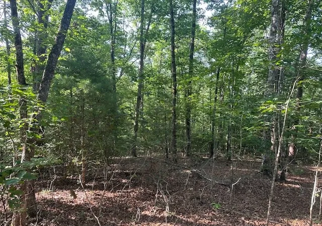 Photo 3 of Land for sale at Lot 208 Boulder Crk Rd, Murphy, NC 28906 | MLS# 100589359 | Listing updated on 2026-07-21