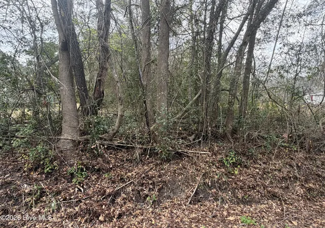 Photo 3 of Land for sale at 0000 Green Loop Rd Ne, Leland, NC 28451 | MLS# 100569975 | Listing updated on 2026-10-06