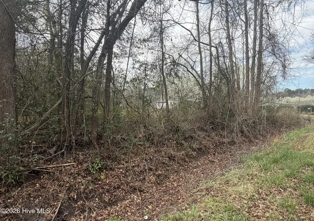 Photo 3 of House for sale at 0000 Green Loop Rd NE, Leland, NC 28451 | MLS# 100569975 | Listing updated on 2026-10-06