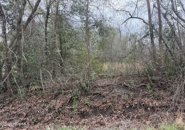 Photo 4 of House for sale at 0000 Green Loop Rd NE, Leland, NC 28451 | MLS# 100569975 | Listing updated on 2026-10-06