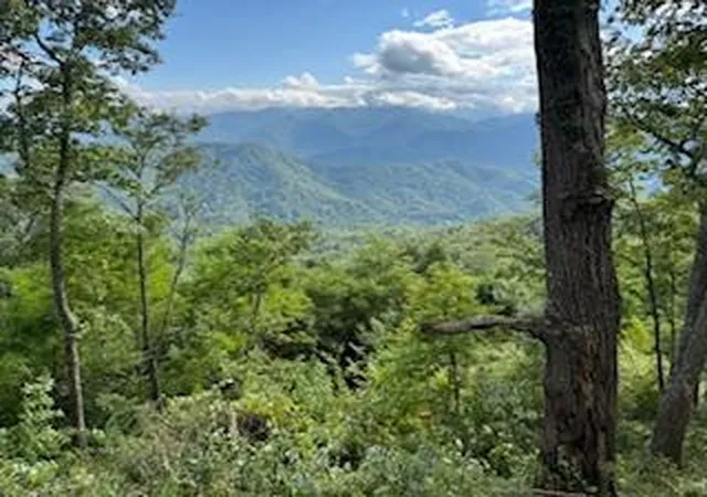 Homes for sale in Bryson City, NC | Lot 30 Hickory Cove Rd, Bryson City, NC 28713 | MLS# 98524740
