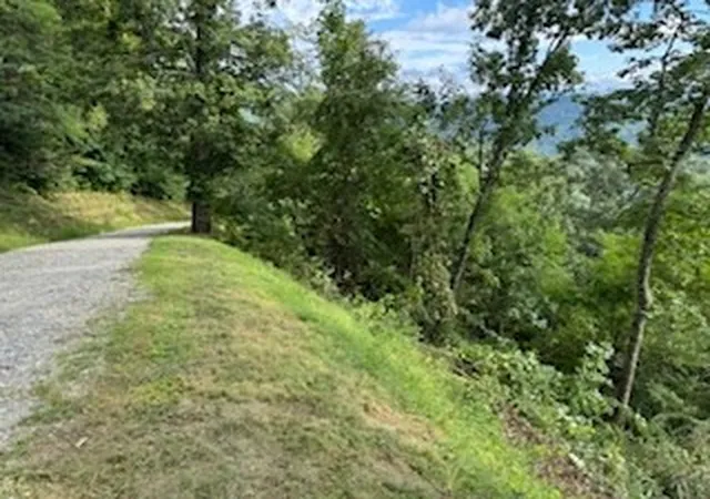 Homes for sale in Bryson City, NC | Lot 30 Hickory Cove Rd, Bryson City, NC 28713 | MLS# 98524740