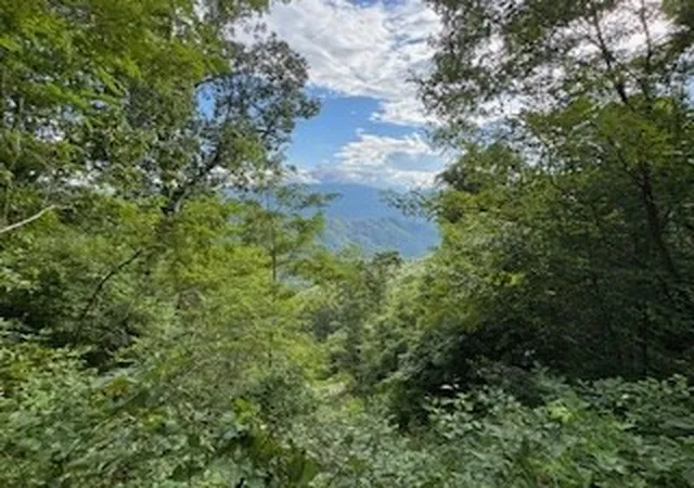 Homes for sale in Bryson City, NC | Lot 30 Hickory Cove Rd, Bryson City, NC 28713 | MLS# 98524740