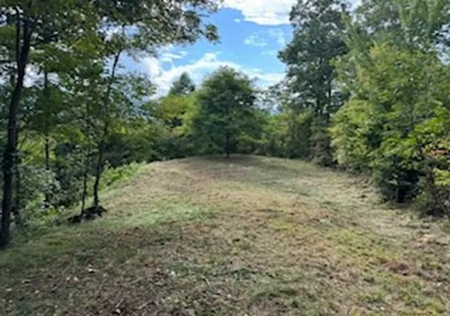 Homes for sale in Bryson City, NC | Lot 30 Hickory Cove Rd, Bryson City, NC 28713 | MLS# 98524740