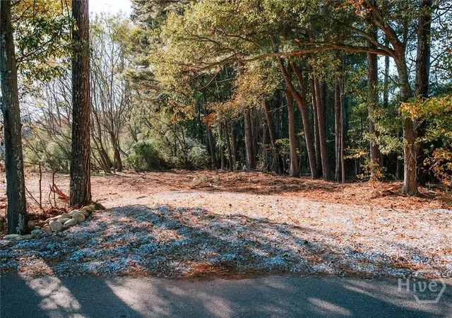 Homes for sale in Winterville, GA | Tract 6 Lakeview Dr, Winterville, GA 30683 | MLS# CL342656