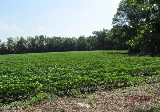 Photo 1 of Land for sale at 203 E Rockingham Rd, Maxton, NC 28364 | MLS# 100591014 | Listing updated on 2026-07-23