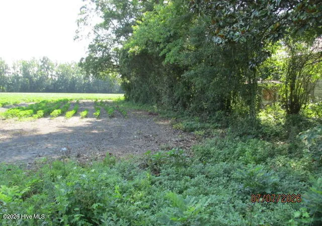 Photo 3 of Land for sale at 203 E Rockingham Rd, Maxton, NC 28364 | MLS# 100591014 | Listing updated on 2026-07-23