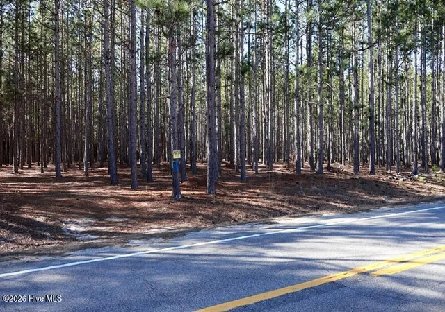 Photo 3 of Land for sale at Tbd Stuarts Ml Rd, Fairmont, NC 28340 | MLS# 100551132 | Listing updated on 2026-08-22
