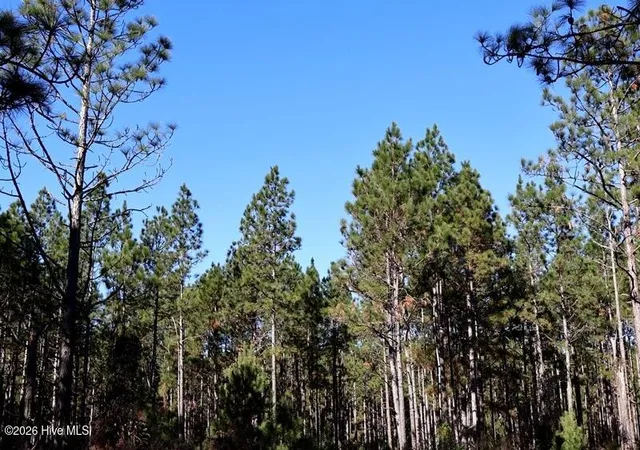 Photo 4 of Land for sale at Tbd Stuarts Ml Rd, Fairmont, NC 28340 | MLS# 100551132 | Listing updated on 2026-08-22
