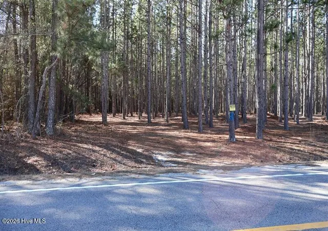 Photo 5 of Land for sale at Tbd Stuarts Ml Rd, Fairmont, NC 28340 | MLS# 100551132 | Listing updated on 2026-08-22