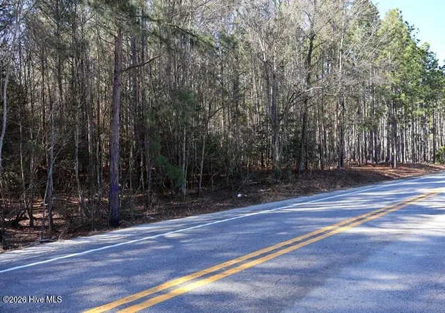 Photo 6 of Land for sale at Tbd Stuarts Ml Rd, Fairmont, NC 28340 | MLS# 100551132 | Listing updated on 2026-08-22