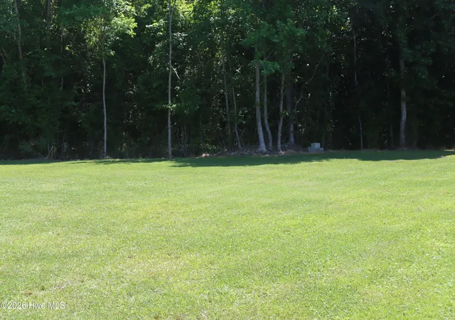 30th image of 18095 Carolina 55, Merritt, NC 28556 | MLS# 100575084