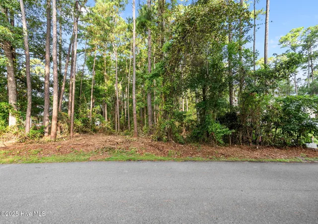 Photo 3 of Land for sale at 5257 Walden Ct SE, Southport, NC 28461 | MLS# 100590822 | Listing updated on 2026-07-22