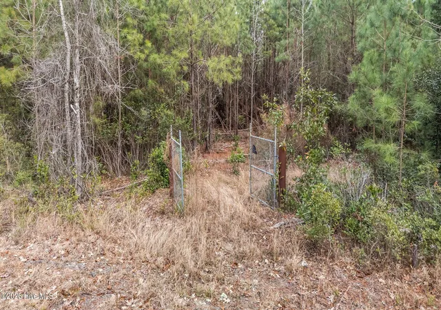Photo 4 of Land for sale at 290 Gold Finch Ln, New Bern, NC 28560 | MLS# 100549901 | Listing updated on 2026-09-03