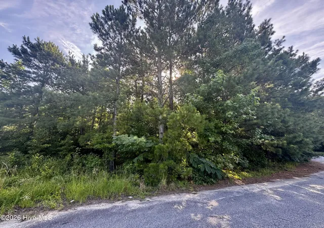 Homes for sale in Pinetops, NC | 285 Dodge Point Dr, Pinetops, NC 27864 | MLS# 100585255