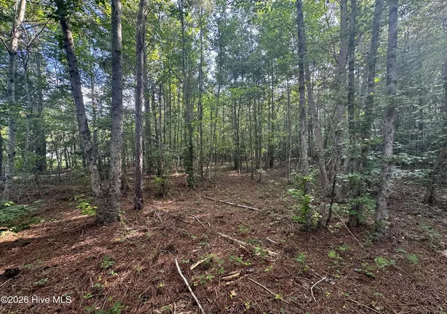 Homes for sale in Pinetops, NC | 285 Dodge Point Dr, Pinetops, NC 27864 | MLS# 100585255