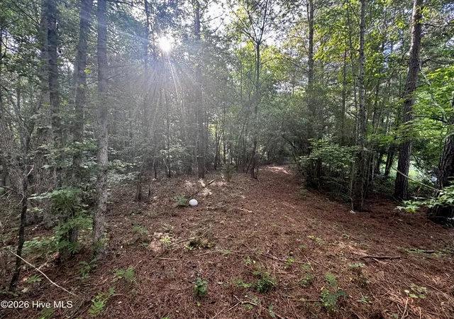 Homes for sale in Pinetops, NC | 285 Dodge Point Dr, Pinetops, NC 27864 | MLS# 100585255