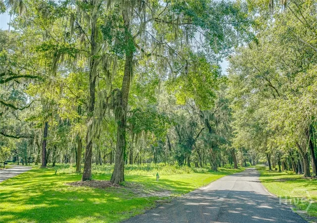 Photo 3 of Land for sale at 777 Silk Hope Dr, Richmond Hill, GA 31324 | MLS# SA363428 | Listing updated on 2026-09-01