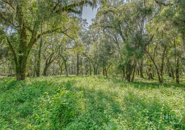 Photo 3 of Land for sale at 777 Silk Hope Dr, Richmond Hill, GA 31324 | MLS# SA363428 | Listing updated on 2026-09-01