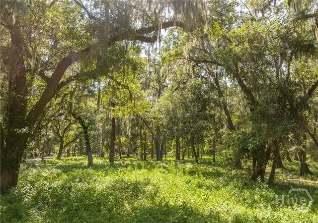 Photo 4 of Land for sale at 777 Silk Hope Dr, Richmond Hill, GA 31324 | MLS# SA363428 | Listing updated on 2026-09-01
