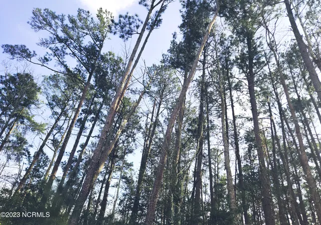 Photo 3 of Land for sale at 153 Oswell Brinson Rd, Merritt, NC 28556 | MLS# 100369396 | Listing updated on 2026-07-17