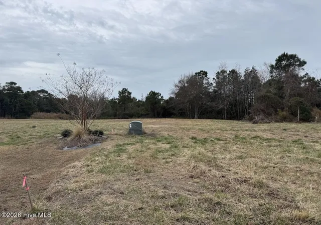 Photo 4 of Land for sale at 0 Horton Dr, Morehead City, NC 28557 | MLS# 100557743 | Listing updated on 2026-03-03