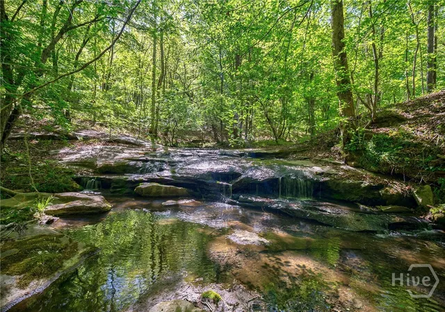 1st image of 0 Brewer's Bridge Rd, Elberton, GA 30635 | MLS# CL354783