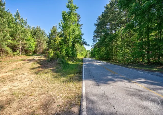 2nd image of 0 Brewer's Bridge Rd, Elberton, GA 30635 | MLS# CL354783