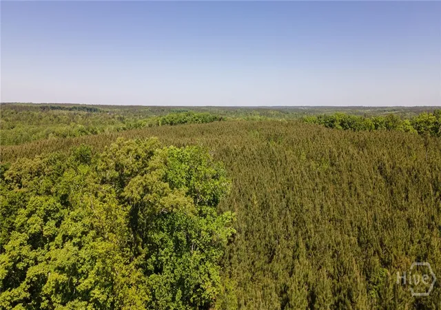 37th image of 0 Brewer's Bridge Rd, Elberton, GA 30635 | MLS# CL354783