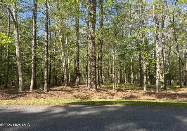 Photo 3 of Land for sale at 0 Island Dr, Chocowinity, NC 27817 | MLS# 100568562 | Listing updated on 2026-04-24