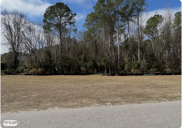 2nd image of 0 Pierce St, Clinton, NC 28328 | MLS# 100557458