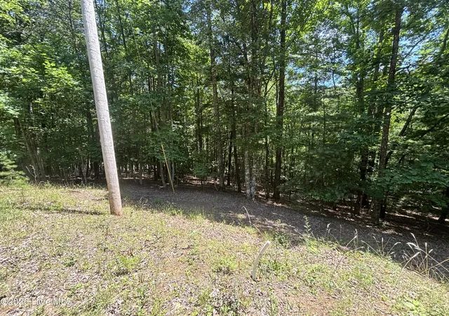 Homes for sale in Murphy, NC | 51 Pine Cove Lane, Murphy, NC 28906 | MLS# 100588218
