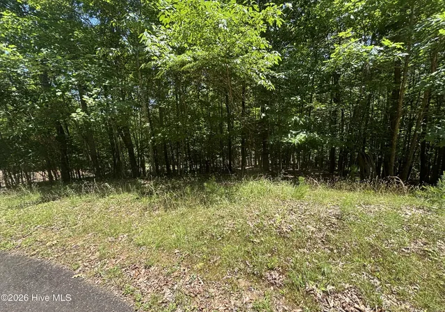Homes for sale in Murphy, NC | 51 Pine Cove Lane, Murphy, NC 28906 | MLS# 100588218