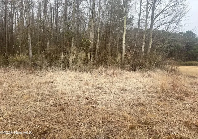 Photo 1 of Land for sale at 0 Center Hl Hwy, Hertford, NC 27944 | MLS# 100577059 | Listing updated on 2026-05-27