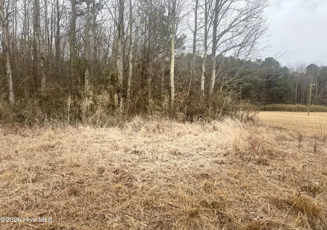 Photo 3 of Land for sale at 0 Center Hl Hwy, Hertford, NC 27944 | MLS# 100577059 | Listing updated on 2026-05-27