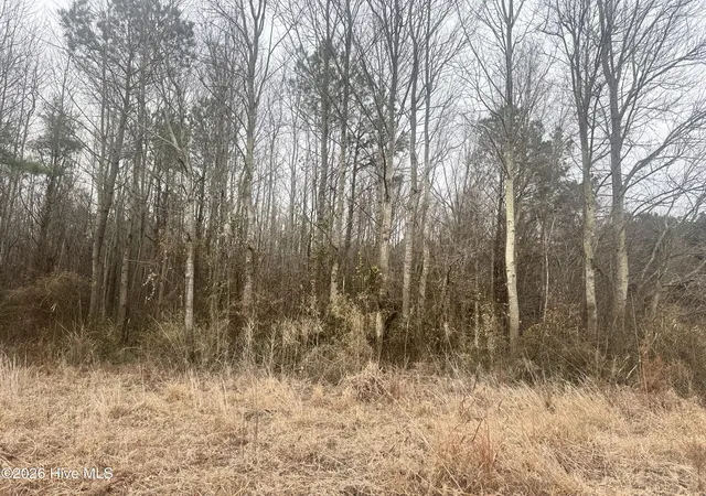 Photo 3 of House for sale at 0 Center Hl Hwy, Hertford, NC 27944 | MLS# 100577059 | Listing updated on 2026-05-27